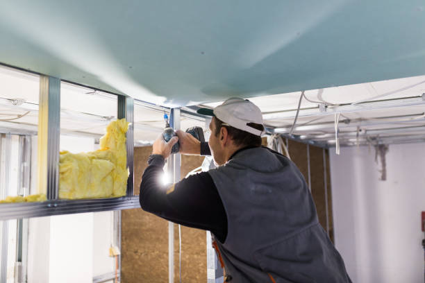 Best Insulation Installation Services in Mokena, IL